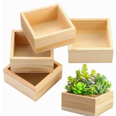 China China Wooden Desktop Decoration Square Box Plant Small Succulent Box is Suitable for Office and Home for sale