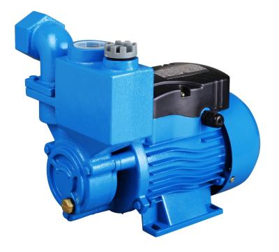 China DBZ SELF-SUCKING FAMILY HOMES SELF-SUCKING SERIES 0.37KW Water Pump Electric Pump for sale