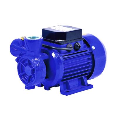 China DACHENG 125W DB125 peripheral pump electric vortex water pumps for family homes for sale