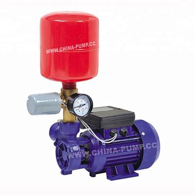 China DACHENG Indonesia DB125 gasoline price peripheral centrifugal vortex electric water pump for family homes for sale