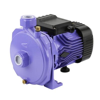 China DACHENG DCM100 750W 1HP Outdoor Electric Centrifugal Water Pump for Family Houses for sale