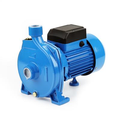 China Family Houses DACHENG 220V CPM 0.75kW 1HP Surface Pumps Electric Centrifugal Water Pump for sale