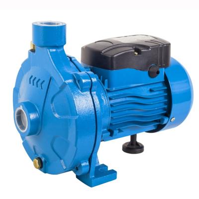 China DACHENG 220V SCM 0.75kW 1HP surface of family homes pumps electric centrifugal water pump for sale