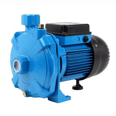 China DACHENG DM100 Pumps 1HP Electric Centrifugal Water Pump For Family Houses for sale