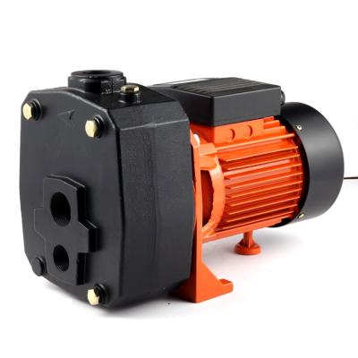 China DP505 Family Homes Water Gasoline Price Electric Motor 1.5hp 1.1KW Self Priming Submersible Jet Pump for sale