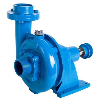 China Single Family Homes DACHENG Agriculture Pump 2hp to 3hp DCT/GA Series Power with Engine or Gasoline Engine for sale