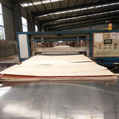 China Modern wood veneer commercial plywood commercial okoume plywood okoume for sale