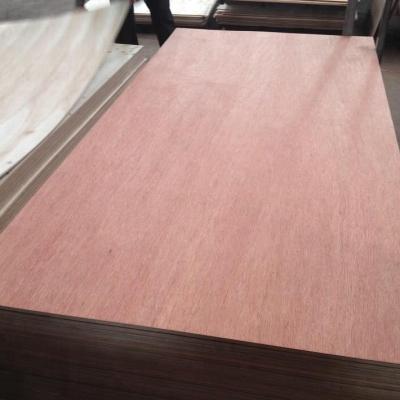 China Modern commercial plywood sheet commercial plywood to wholesale price furniture cabinet plywood for sale