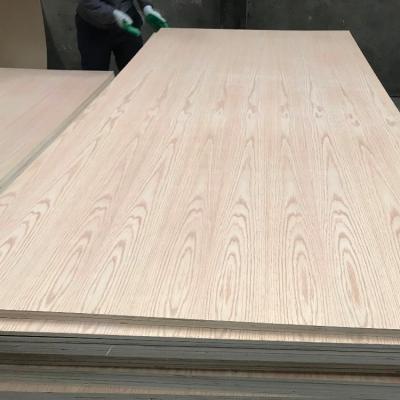 China Various 3mm 5.2mm 9mm 12mm 15mm 18mm 21mm Thickness WBP Modern Glue Oak Plywood for sale