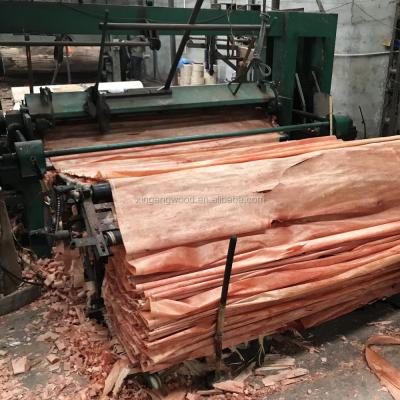 China Modern Bintangor Veneer with High Quality and Cheap Price for sale