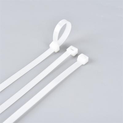 China Manufacturer 4*200 Professional Custom Self-locking Self-locking Cable Tie Nylon Wholesale Constitution Packing Tie for sale