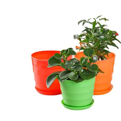 China Garden Accessories Wejump Small Mini Round Planting Plastic Pot Garden Flower Pot for sale