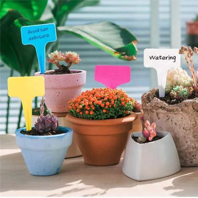 China Garden Accessories Plastic Wejump Plant Plastic Gardening Label T Shape Marker Nursery Pot Garden Flower Succulents Plant Decorative Label Label for sale