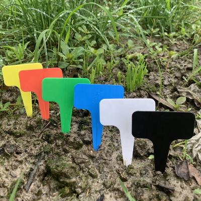 China Wejump Garden Accessories Waterproof Plant T Type Plastic Markers Labels Garden Tags for sale