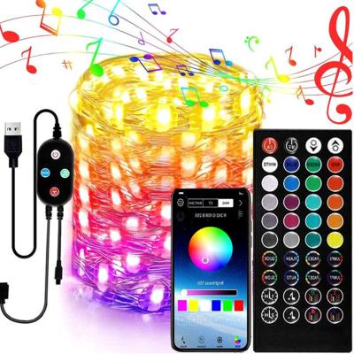 China Theme Park 5M 10 MTS 10m 100LED Color Changing USB RGB Copper Mini Christmas LED Smart Remote Control String Lights for sale