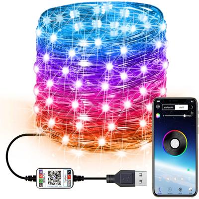 China Theme Park APP Controlled Shenzhen Festive Smart 200 Wire Christmas Light Copper Customized LED String for sale