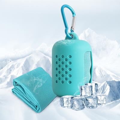 China QUICK DRY Portable Cooling Towel Sports Ice Towel With Silicone Case for sale