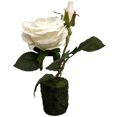 China Wholesale 3 Natural White Rose Small Bonsai Heads With Artificial Mud Pot for sale