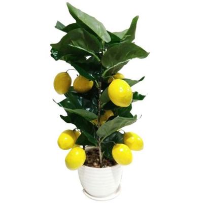 China Artificial Lemon Tree Bonsai Decoration 43CM Mini Plants Tree Bonsai for sale