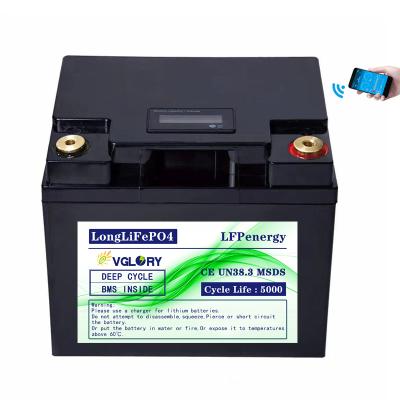 China BOATS Shape 24v 200ah Battery Available Custom Lithium 100ah for sale