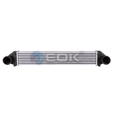 China AC & Cooling System EOK Water Intercooler For MERCEDES B-CLASS W 245 B 180 CDI 1695000900 A1695000000 for sale