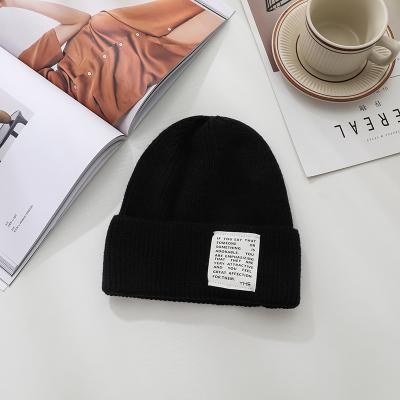 China Winter Multicolor Beanie Knitted Hat Sport Beanie Custom Wholesale Bulk Winter Beanie Unisex Colorful Acrylic Knit Mens Womens COMMON for sale