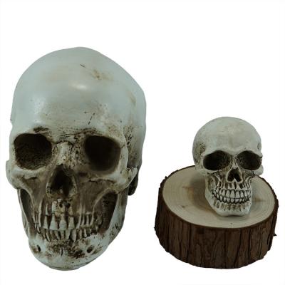 China Europe Decor Resin Craft Ornaments Resin Skull Halloween Gift Customized Gift Home Decoration Handwork Skull Dropshipping for sale