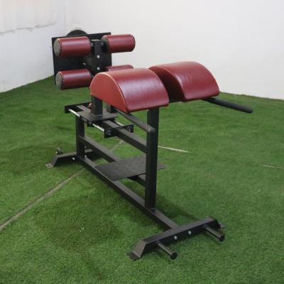 China Fitness Center High Quality Commercial Gym Equipment Roman Chair Gym Equipment For Fitness for sale