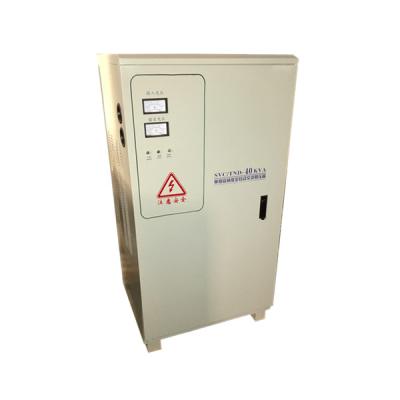 China Fully Automatic Ac Voltage Regulator 4kva Stabilizer Single Phase Energy Saving for sale