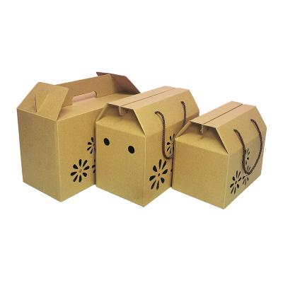 China Recycled Materials Customized Special Strong Model Factory Direct Sales 3 Layers 5 Layers Portable Cardboard Printing Corrugated Box for sale