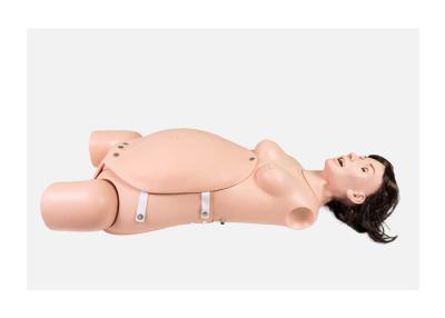 Chine ISO PVC Ostetrics Surgery Training Manikin With Lithotomy Position à vendre