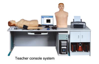 Chine Diagnostic physique avec le mannequin coeur-poumon d'auscultation, équipement médical de simulation à vendre