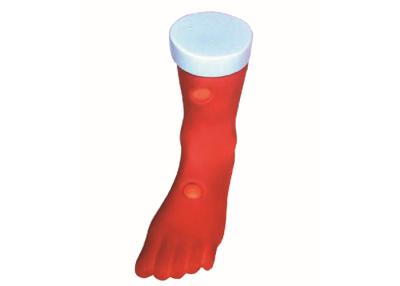 China PVC Leg Pitting Edema Model Clinical Simulation For Nursing Training for sale