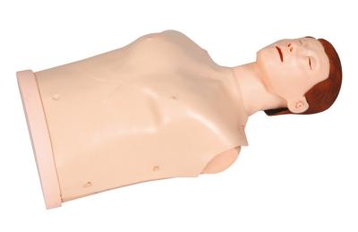 China Simple Type First Aid Manikins with Beep Tips , Half - Body CPR Training Dummies for sale