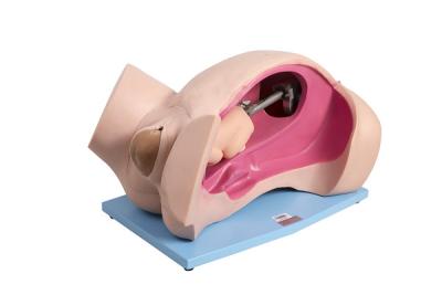 China Manual childbirth simulation automatic birthing system / Emergency Simulation for sale