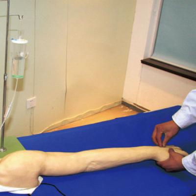 Chine Complètement - bras fonctionnel de formation de venipuncture pour l'université soignante, bras de pratique en matière d'iv à vendre