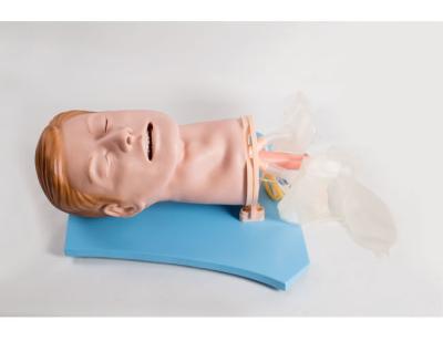 China Breath Sound Function Painted PVC First Aid Manikins for sale