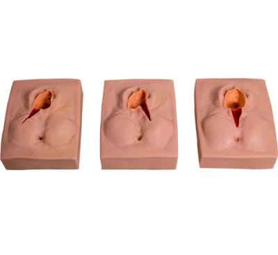 China PVC Vulva Suturing Child Birth Simulator For School Training for sale