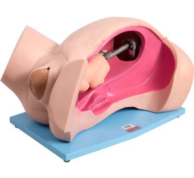 China Mechanism Demonstration Natural Childbirth Simulator for sale