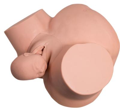 China Demonstration Soft PVC Vacuum Childbirth Simulator for sale