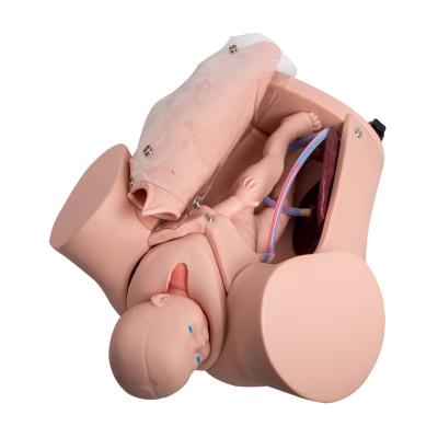 China Colleges Two Fetus Childbirth Simulator Baby Delivery Simulator for sale