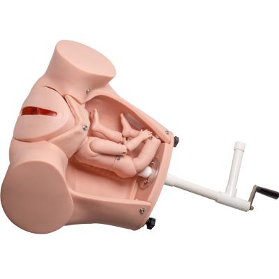 China SGS PVC Training Baby Birth Simulator With Umbilical Cord for sale