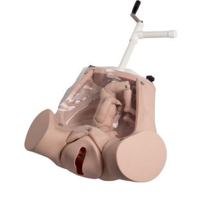 China Medical Delivery Realistic Childbirth Simulator Childbirth Education Models for sale