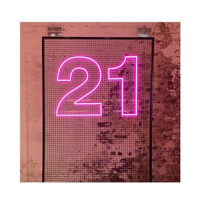 China Dropshipping Acrylic Factory OHANEE Baby 21 Letter Eco-friendly Flex Custom Neonflex LED 18 Neon Numbers Sign Lights for sale