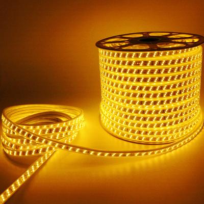 China Residential High Voltage Outdoor 110v 220v SMD 5050 Single Color RGB Led Strip Light 50m/roll 100m/roll Customs Lead Strip Lights for sale