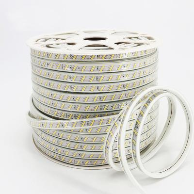 China Newcomer residential kitchen led light 12V 300K 4000K 6000K IP 20 led strip light 5050 smd strip light for sale