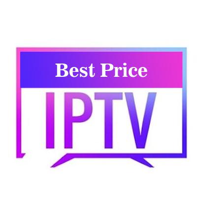 China Free Trial Android IOS Box IPTV Sub 4k M3U Abonnement Trex Panel Reseller with 1 3 6 12 Months For Smart TV Account Stable TOP1 for sale