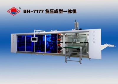 China Servo Plastic 400mm Blaar die volledig Automatische de Lunchdoos vormen van de Machinepost Te koop