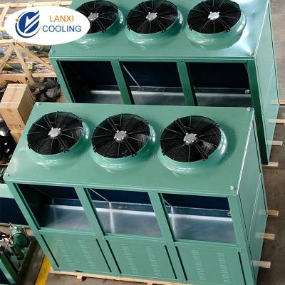 China V Type Refrigeration System Air Cooled Condensing Unit For Cold Room for sale