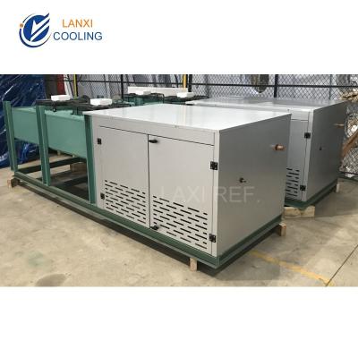 China V Type Air Cooled Condensing Unit for Cold Storage Room with box and Bitzer compressor and Danfoss  accessories for sale